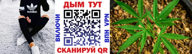 Виды наркоты Реутов Cocaine  Галлюциногенные грибы  БУТИРАТ  MEGA зеркало  АМФ  ГАШ  Меф 