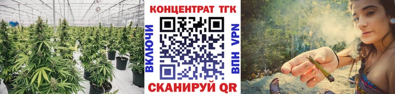 закладки  Реутов  Дистиллят ТГК концентрат 